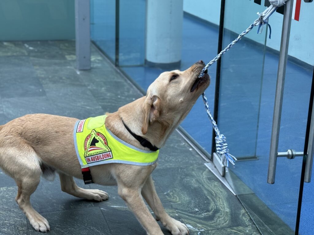 Servicehund macht die Türe auf