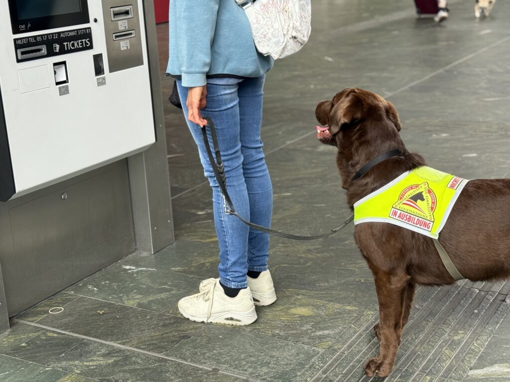 Signalhund begleitet