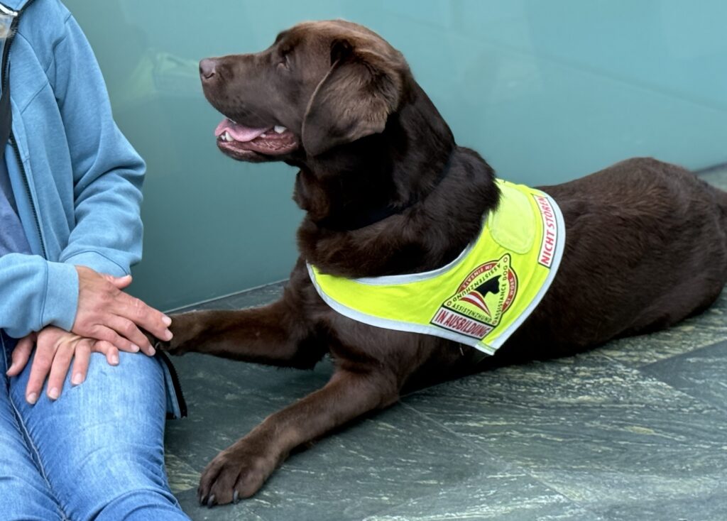 Signalhund beruhigt